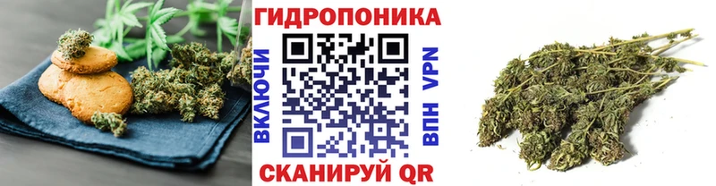 сайты даркнета клад  Новоузенск  Еда ТГК конопля  ОМГ ОМГ ссылки 