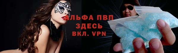 гашик Алексеевка