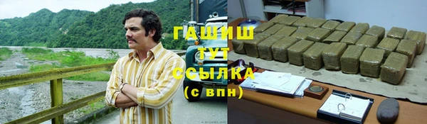 гашик Алексеевка